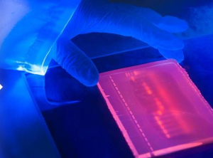 En Laboratorio | adn enlaboratorio |