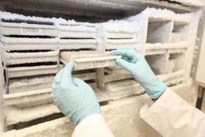 biobacnco enlaboratorio 2 |