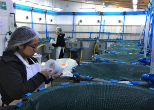 En Laboratorio | bioseguridad4 enlaboratorio |