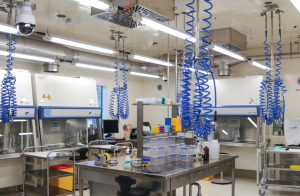 En Laboratorio | laboratorio3 enlaboratorio |