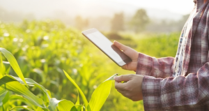 laboratorioagricola enlaboratorio |