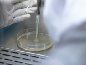 En Laboratorio | microbiologia enlaboratorio |