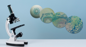 microscopio enlaboratorio |