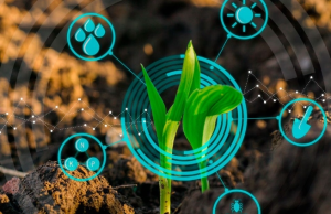 sensores inteligentes enlaboratorio |